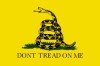 small_250px-gadsden_flag_250px